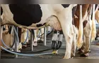Governo anuncia pacote para impulsionar produção de leite