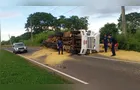 Motorista é preso por embriaguez após tombar caminhão com soja em Ponta Grossa