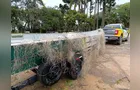 Polícia Ambiental apreende redes e solta peixes durante fiscalização no 'Alagados'