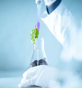 Aplicação de tratamento biológico em sementes serve para proteção de lavouras