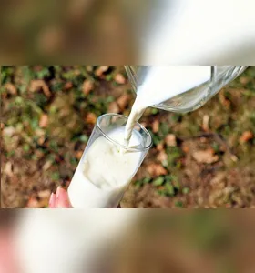 Produtores enfrentam alta nos custos de alimentação do rebanho e entressafra, fatores que reduziram a oferta de leite e elevaram os preços em 10,5% em março