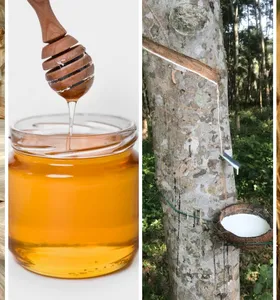 Paraná tem bônus de até 29% no Pronaf para 4 produtos em maio