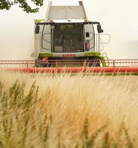 Crescimento da produção de grãos e valorização da pecuária levaram o agronegócio a representar um quarto de toda a economia brasileira em 2025