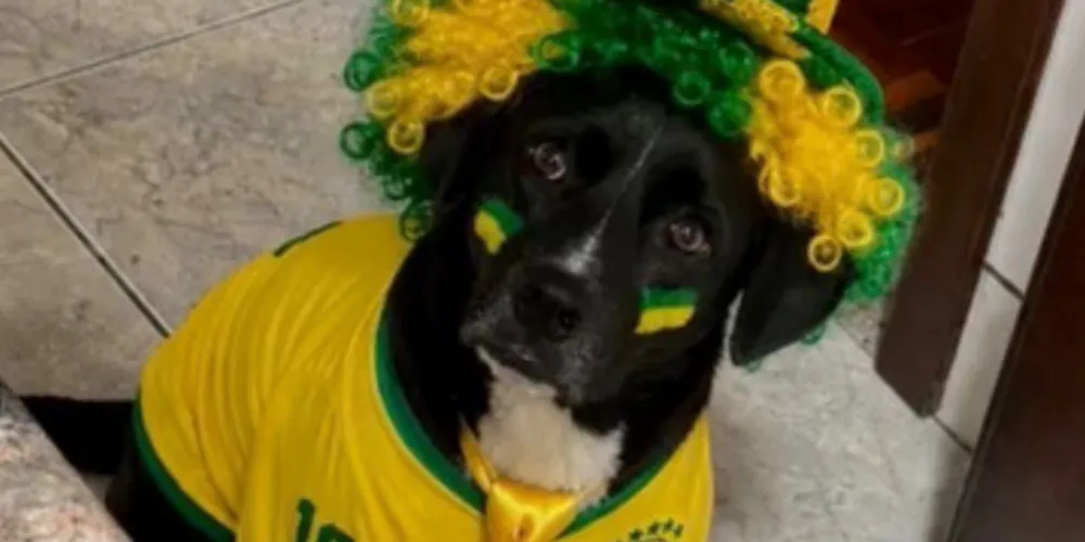 Trovão caracterizado para assistir o jogo do Brasil