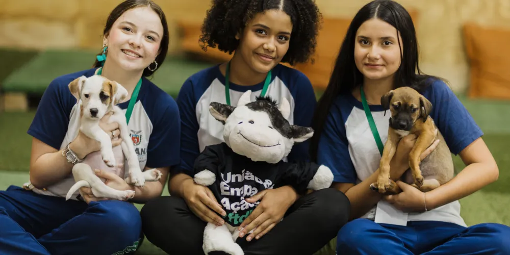 Estudantes da rede estadual transformam adoção animal em campanhas de impacto e conquistam prêmio nacional de criatividade