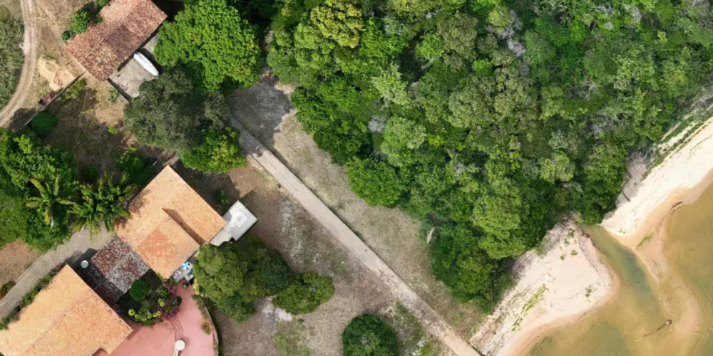 Laboratório da UFPR usa frota de drones para blindar ecossistemas no ...