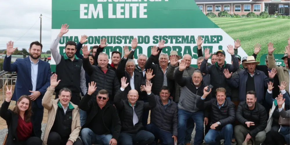 A empresa contratada deverá fornecer material, mão de obra e todos os equipamentos necessários à realização dos serviços, conforme previstos no edital