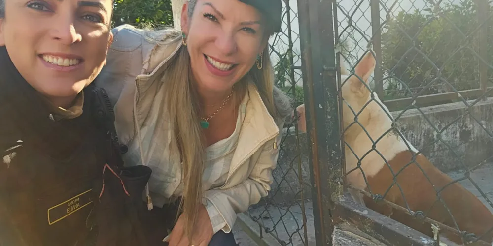 Enquanto localizavam a tutora, os policiais levaram o cão para um abrigo temporário