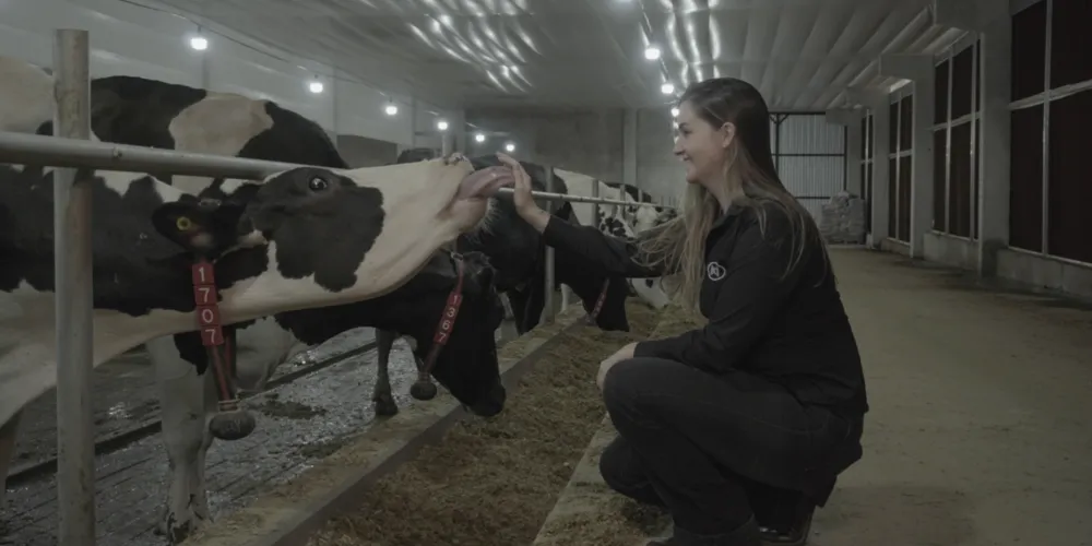 A reportagem mostra como a automação vem transformando a rotina da produção leiteira