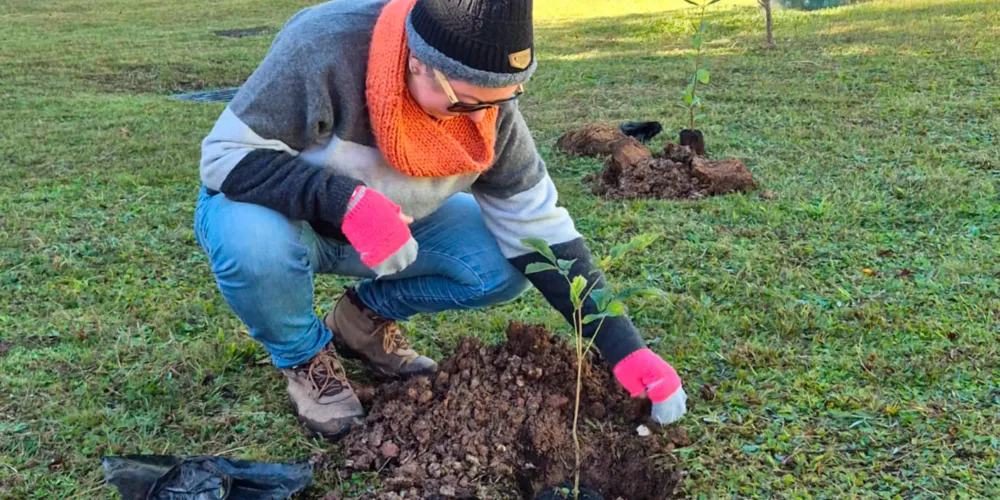 A primeira fase, com conclusão prevista para julho deste ano, abrange o plantio inicial de mais de 60 mudas de espécies nativas e árvores frutíferas