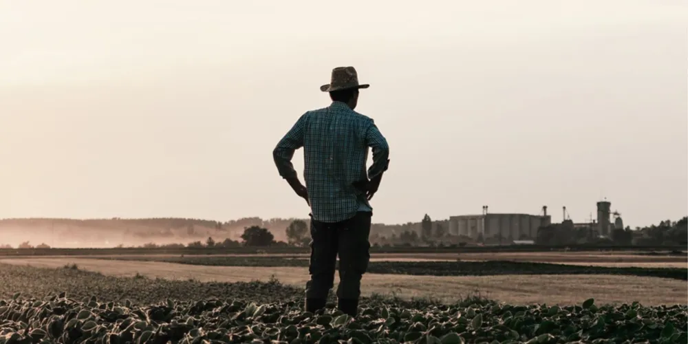O agricultor de Marechal Cândido Rondon faz parte da estatística