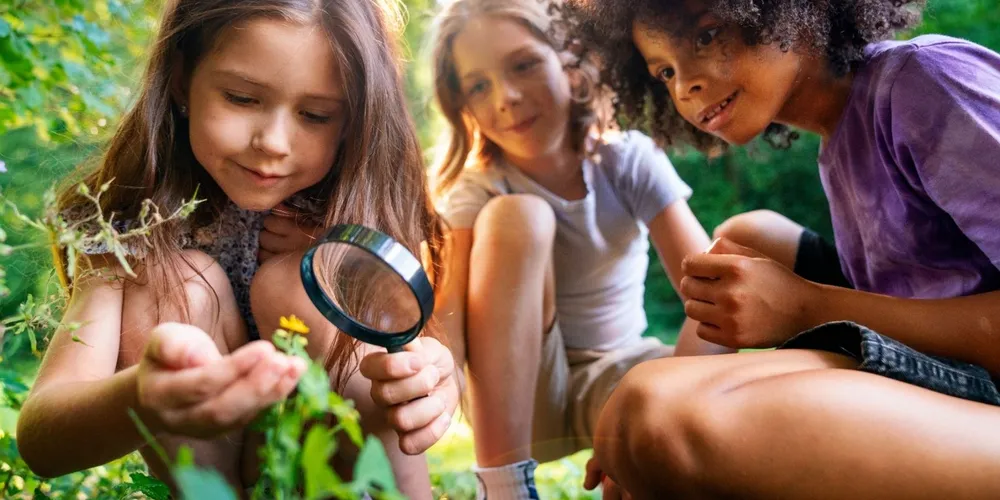 Outro objetivo da iniciativa é fomentar práticas sustentáveis