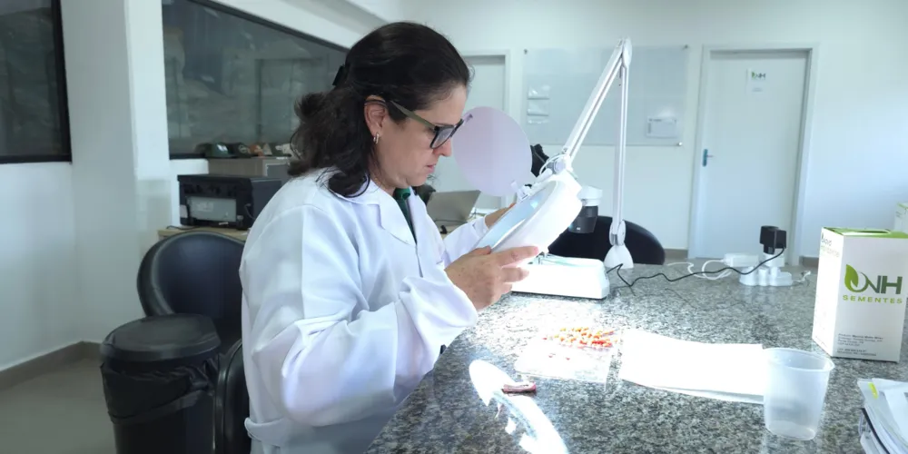 Katia Silva explica que são realizados testes capazes de identificar previamente o potencial das sementes e acompanhar sua qualidade durante todo o processo produtivo