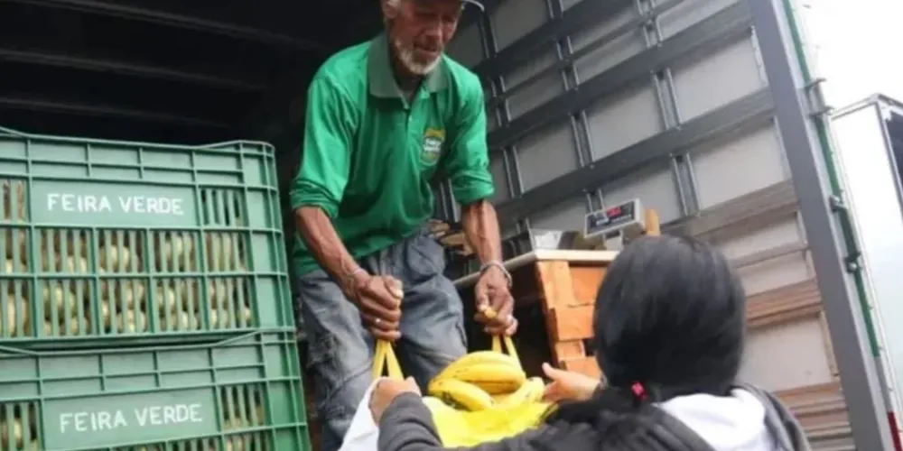 Programa apoia agricultura familiar e fortalece a segurança alimentar