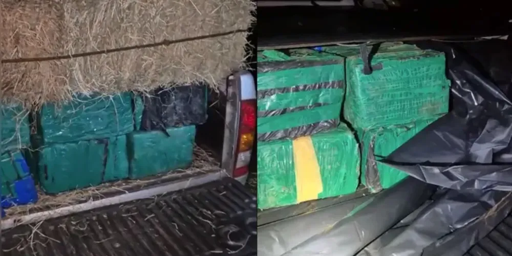 Drogas foram apreendidas pela Polícia Militar