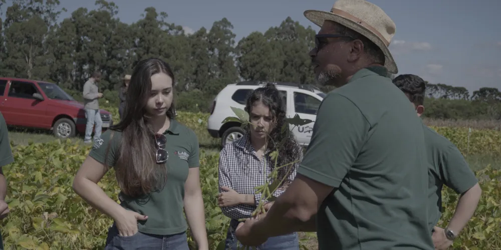 Diferentes pragas exigem monitoramento constante, especialmente nas lavouras de soja, segundo o professor doutor em Agronomia e diretor da Fazenda Escola, Orcial Bortolotto