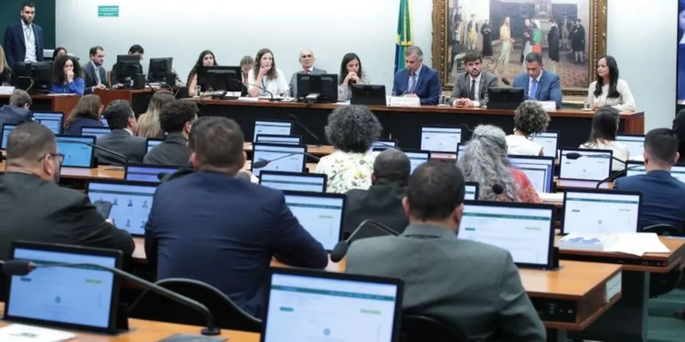 O tema vem dividindo parlamentares na comissão