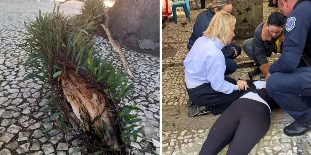 Galho de árvore caiu durante a Feira de Inverno da Praça Osório e atingiu uma jovem de 22 anos, que sofreu grave lesão na coluna e foi encaminhada ao Hospital do Trabalhado