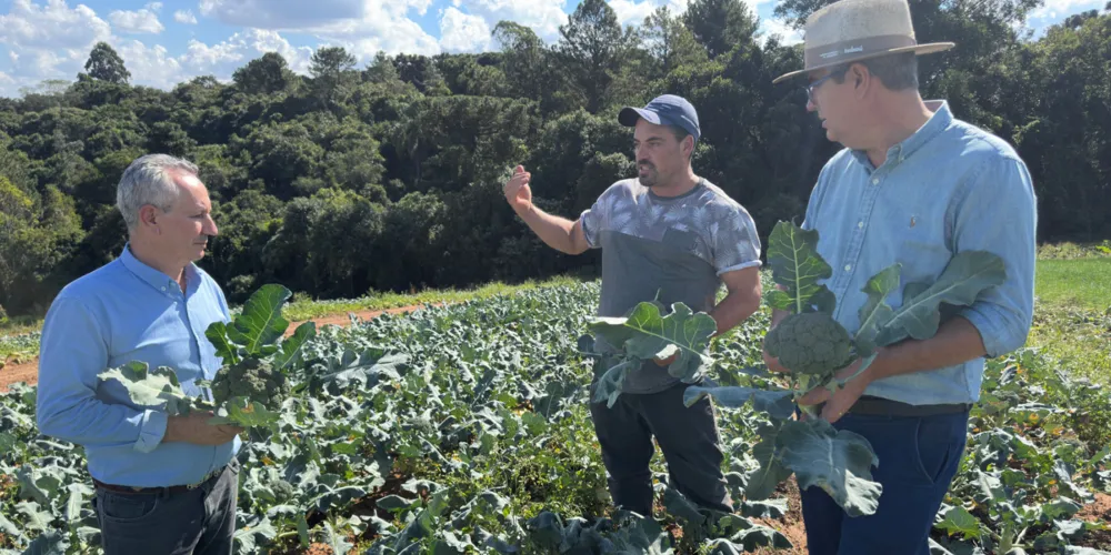 O produtor Jonas Gonçalves Franco cultiva frutas e mais de 100 variedades de hortaliças na região do Taquaruçu, junto com Izaltino Cordeiro dos Santos e Julio Küller