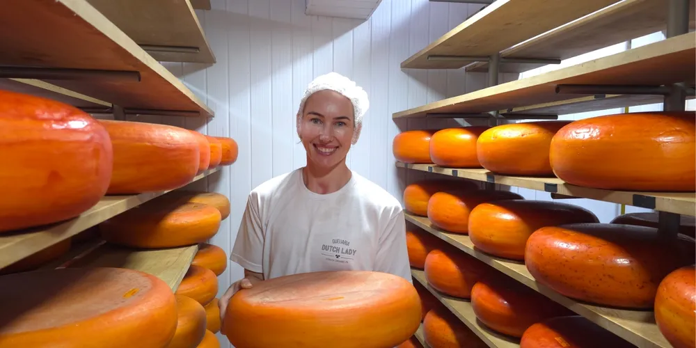 Projeto abrange produtores de queijo, geleias, mel, entre outros produtos fabricados nos Campos Gerais
