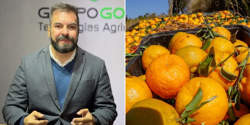 Imagem ilustrativa da imagem Paraná recebe novos descontos no Pronaf e exportações do agro crescem