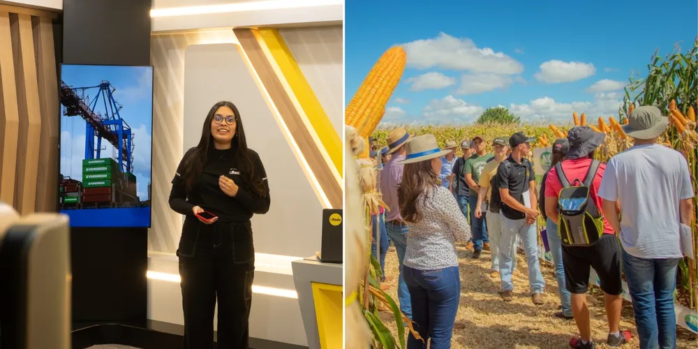 Imagem ilustrativa da imagem Exportações crescem no Paraná e prazo do novo Desenrola Rural inicia