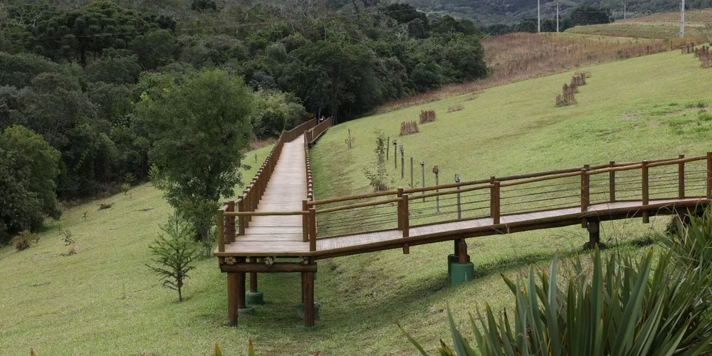 Região dos Alagados