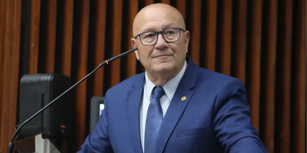 Autor da lei, deputado Luiz Claudio Romanelli (PSD)
