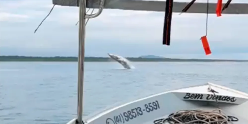 O momento foi flagrado por um navegador