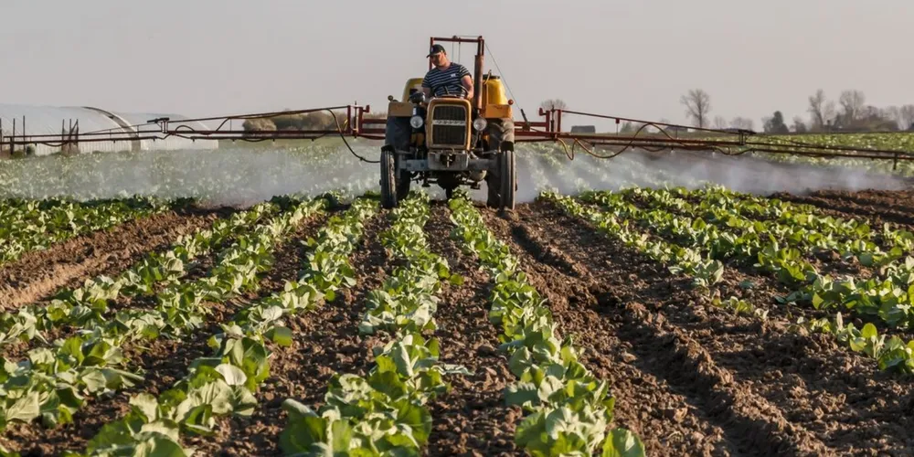 Estudo indica que a escolha correta do canal de comercialização e o respeito à dosagem recomendada de biodefensivos são fundamentais para garantir a economia e a eficiência biológica no campo