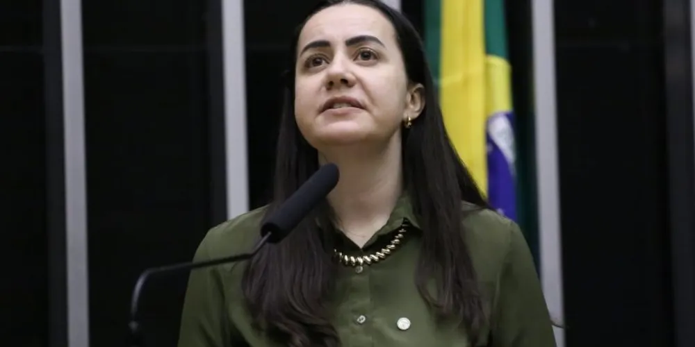 A relatora da proposta defende que a medida viabiliza o apoio pedagógico imediato nas escolas até que a Libras se consolide como segunda língua nacional