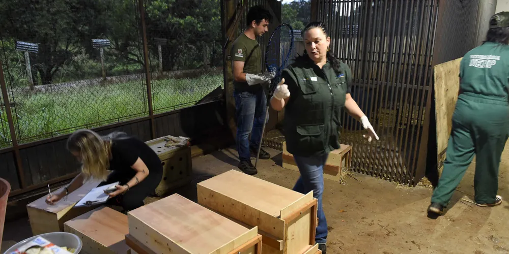 Portal foi criado para direcionar as denúncias registradas pela Ouvidoria do IAT