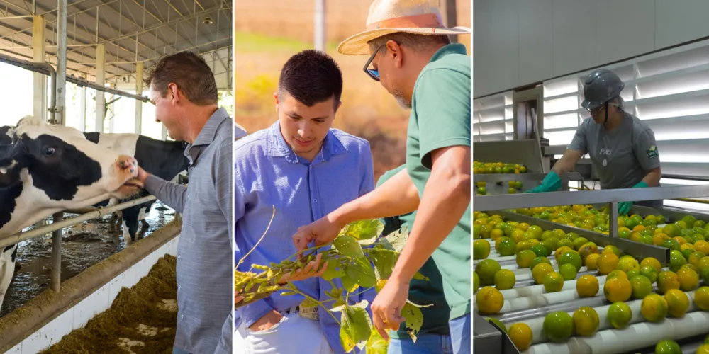 A Expedição 'A Força do Agro' teve como resultado 30 reportagens especiais em vídeo e texto
