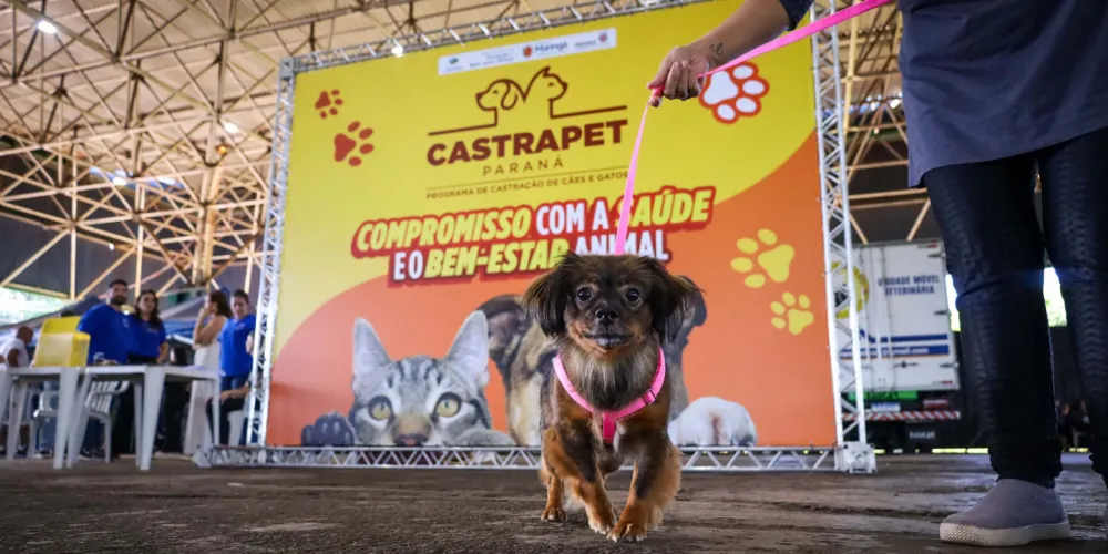 Ponta Grossa recebe o programa nos dias, 27, 29 e 30 de junho