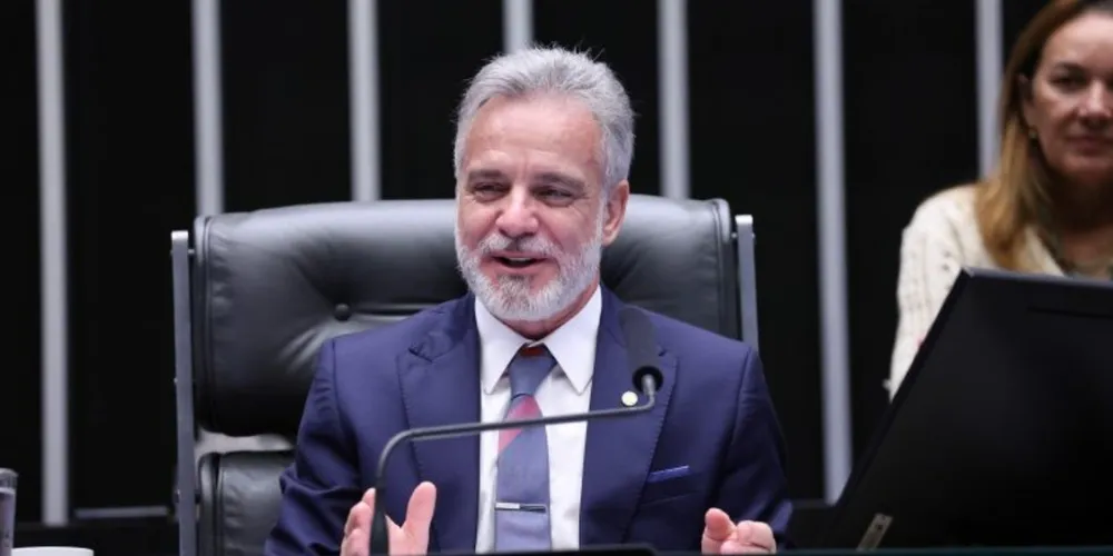 Relator defende que a regulamentação deve focar na segurança e na não obstrução da visão do motorista, em vez da proibição total