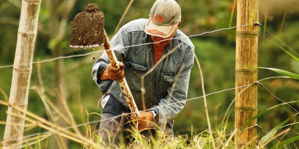 Projeto de lei 5.122/23 institui condições especiais e juros subsidiados para o refinanciamento de dívidas do setor agropecuário afetado por perdas climáticas