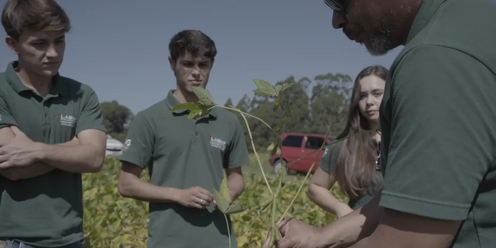 Com apoio do cooperativismo, tecnologia e inovação, o trabalho no campo impulsiona a produção de alimentos, fortalece a economia regional e mantém o Paraná entre os principais polos agropecuários do país