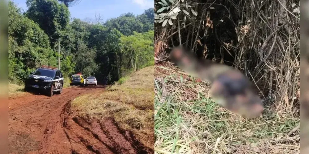 Corpo foi parcialmente incinerado