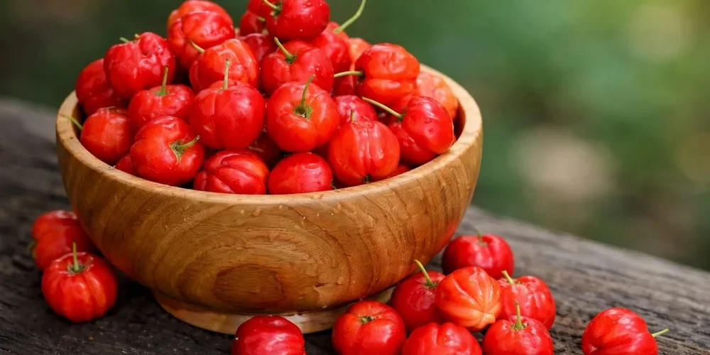 Polo produtor em Cianorte e cooperativismo impulsionam a exportação da polpa de acerola orgânica do Paraná para o exterior