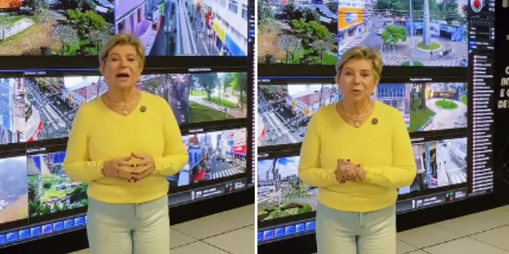 Prefeita de Ponta Grossa, Elizabeth Schmidt