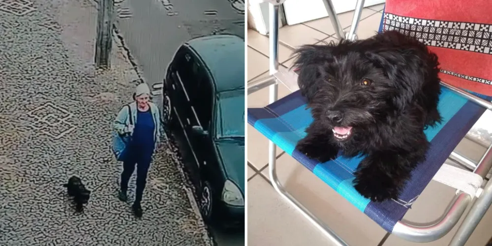 A suspeita é de que ela possa ter se perdido e seguido a pedestre por engano