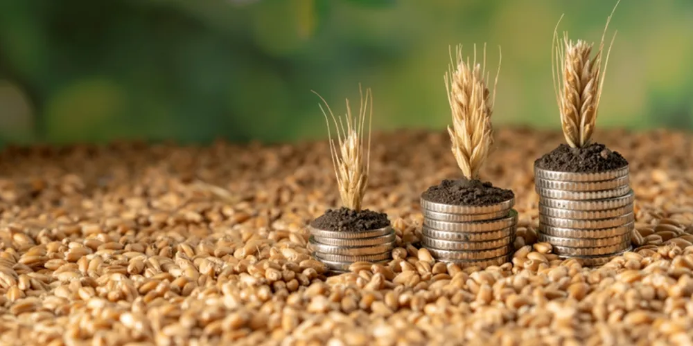 Mercado de capitais e títulos privados, como a CPR e a LCA, ampliam a fatia de recursos destinados ao custeio da safra e investimentos no agronegócio brasileiro