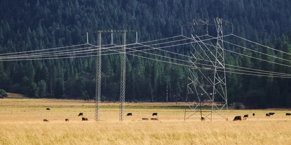 Federação cobra melhorias na infraestrutura elétrica para conter prejuízos na agricultura familiar do Paraná