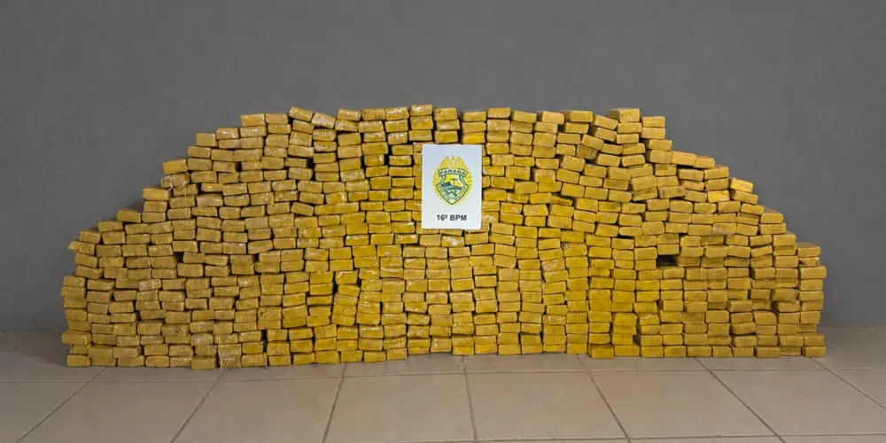 Ao todo, foi apreendido 494 kg de maconha