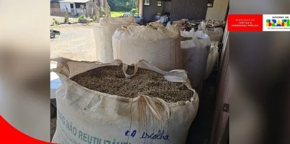 Apreensão de milhares de quilos irregulares de produtos relacionados de café aconteceu em 19 estabelecimentos