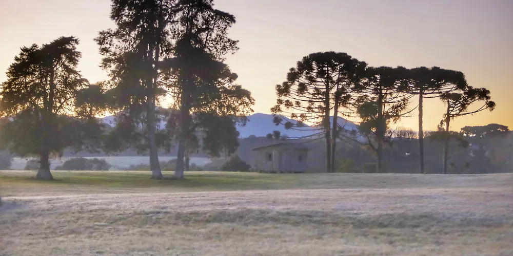 O amanhecer de terça-feira (23) será de frio intenso em todo o Paraná, com mínimas próximas de 0°C em diversas localidades e temperaturas negativas nas regiões mais ao sul do estado
