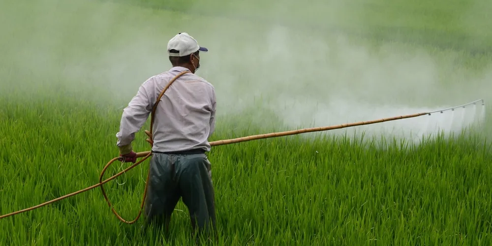 Nova plataforma digital unifica a tramitação de pedidos de defensivos agrícolas entre três órgãos federais, prometendo eficiência sem flexibilizar o rigor técnico exigido