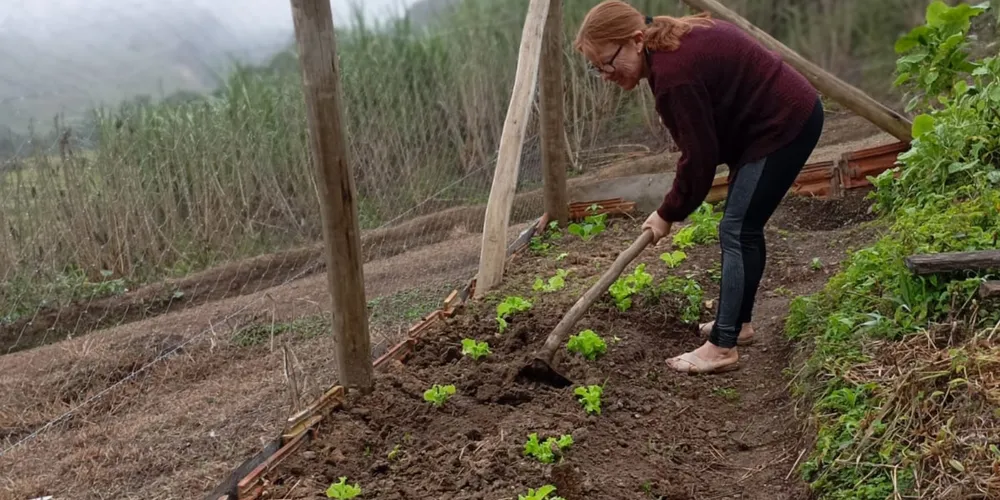 Agricultoras de Campo Largo participam de capacitação técnica para a implantação de hortas domésticas sustentáveis