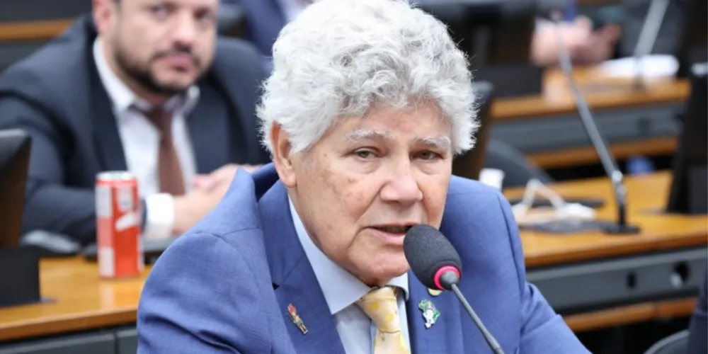 Chico Alencar defende a restauração do texto de 2010