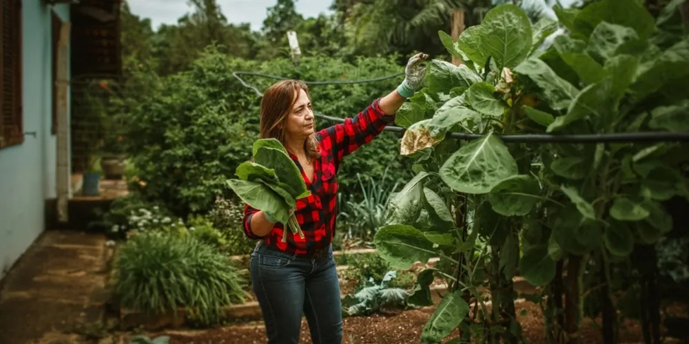 Presença feminina avança na gestão de negócios rurais, mas produtoras enfrentam dificuldades de expansão devido à concentração em pequenas áreas e entraves no acesso ao crédito